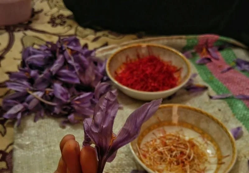 red saffron in WA,saffron shop in WA, saffron,iran saffron in West Virginia,persian saffron in West Virginia,iranian saffron in West Virginia,price of saffron in West Virginia,saffron in West Virginia,saffron companies in West Virginia,saffron price in West Virginia,