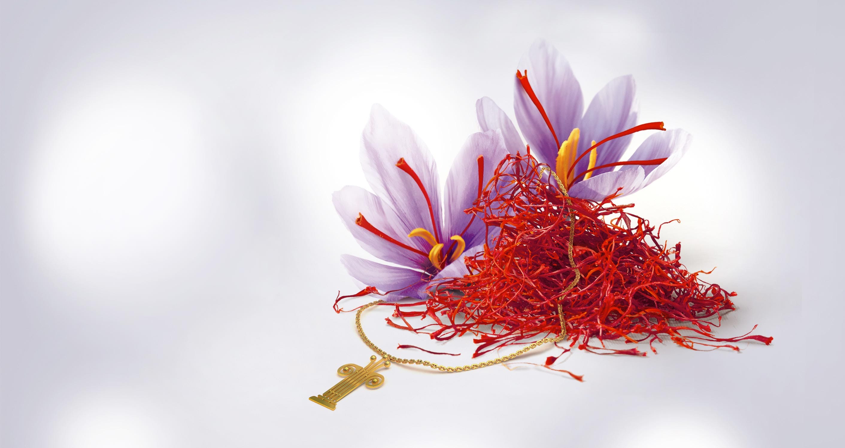 purchase saffron in WV,major purchase in WV,red saffron in WV,saffron shop in WV, saffron,iran saffron in WI,persian saffron in WI,iranian saffron in WI,price of saffron in WI,saffron in WI,