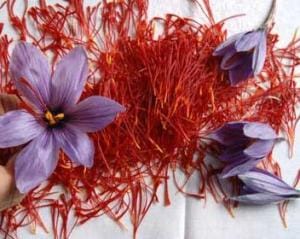 buy persian saffron in Houston,purchase saffron in Houston,major purchase in Houston,red saffron in Houston,saffron shop in Houston, ,saffron,iran saffron in Phoenix,persian saffron in Phoenix,iranian saffron in Phoenix,price of saffron in Phoenix,