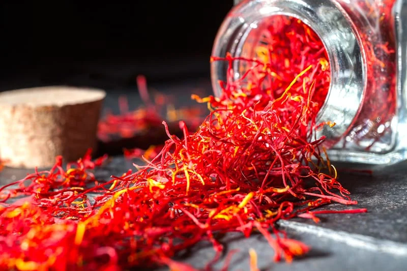 iranian saffron in San Antonio,price of saffron in San Antonio,saffron in San Antonio,saffron companies in San Antonio,saffron price in San Antonio,saffron iran in San Antonio,saffron shop in San Antonio,buy saffron in San Antonio,buy persian saffron in San Antonio,purchase saffron in San Antonio,