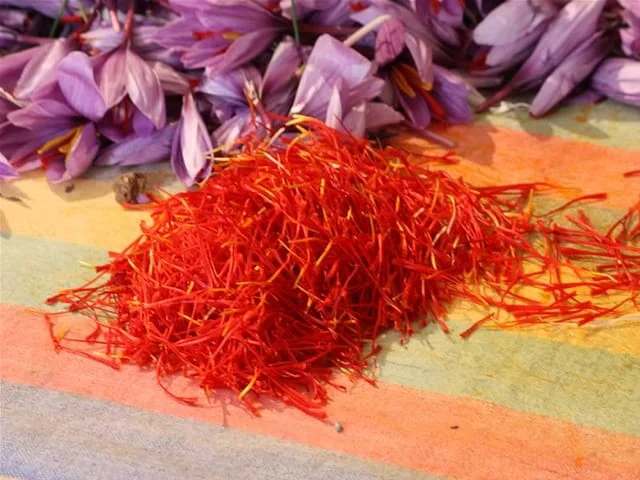saffron in San Jose,saffron companies in San Jose,saffron price in San Jose,saffron iran in San Jose,saffron shop in San Jose,buy saffron in San Jose,buy persian saffron in San Jose,purchase saffron in San Jose,major purchase in San Jose,red saffron in San Jose,