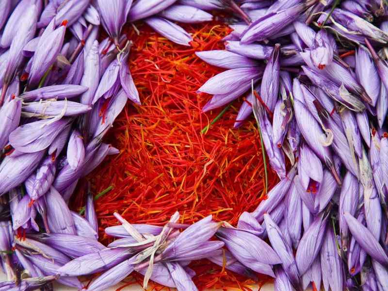 saffron price in germany,saffron iran in germany,saffron shop in germany,buy saffron in germany,buy persian saffron in germany,purchase saffron in germany,major purchase in germany,red saffron in germany,saffron shop in Germany, ,saffron,