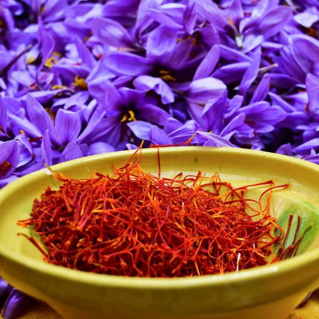 iran saffron in Columbus,persian saffron in Columbus,iranian saffron in Columbus,price of saffron in Columbus,saffron in Columbus,saffron companies in Columbus,saffron price in Columbus,saffron iran in Columbus,saffron shop in Columbus,buy saffron in Columbus,
