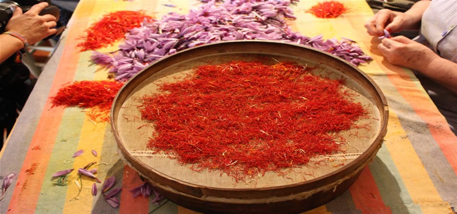 price of saffron in Detroit,saffron in Detroit,saffron companies in Detroit,saffron price in Detroit,saffron iran in Detroit,saffron shop in Detroit,buy saffron in Detroit,buy persian saffron in Detroit,purchase saffron in Detroit,major purchase in Detroit,