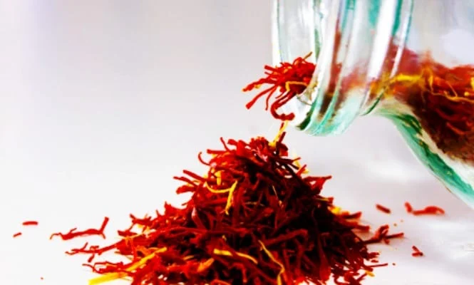 persian saffron in Memphis,iranian saffron in Memphis,price of saffron in Memphis,saffron in Memphis,saffron companies in Memphis,saffron price in Memphis,saffron iran in Memphis,saffron shop in Memphis,buy saffron in Memphis,buy persian saffron in Memphis,
