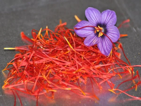 purchase saffron in Memphis,major purchase in Memphis,red saffron in Memphis,saffron shop in Memphis, ,saffron,iran saffron in Portland,persian saffron in Portland,iranian saffron in Portland,price of saffron in Portland,saffron in Portland,