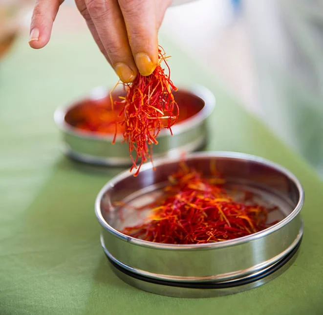 ,saffron,iran saffron in Oklahoma City,persian saffron in Oklahoma City,iranian saffron in Oklahoma City,price of saffron in Oklahoma City,saffron in Oklahoma City,saffron companies in Oklahoma City,saffron price in Oklahoma City,saffron iran in Oklahoma City,saffron shop in Oklahoma City,buy saffron in Oklahoma City,