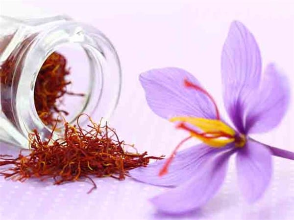 saffron shop in Las Vegas,,saffron,iran saffron in Louisville,persian saffron in Louisville,iranian saffron in Louisville,price of saffron in Louisville,saffron in Louisville,saffron companies in Louisville,saffron price in Louisville,saffron iran in Louisville,