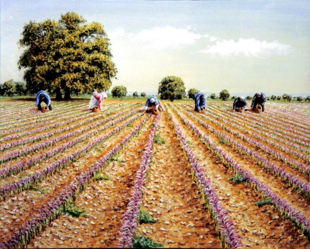 major purchase in Baltimore,red saffron in Baltimore,saffron shop in Baltimore, ,saffron,iran saffron in Milwaukee,persian saffron in Milwaukee,iranian saffron in Milwaukee,price of saffron in Milwaukee,
