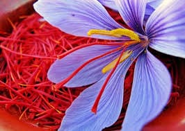 major purchase in Tucson,red saffron in Tucson,saffron shop in Tucson, ,saffron,iran saffron in Fresno,persian saffron in Fresno,iranian saffron in Fresno,price of saffron in Fresno,saffron in Fresno,saffron companies in Fresno,