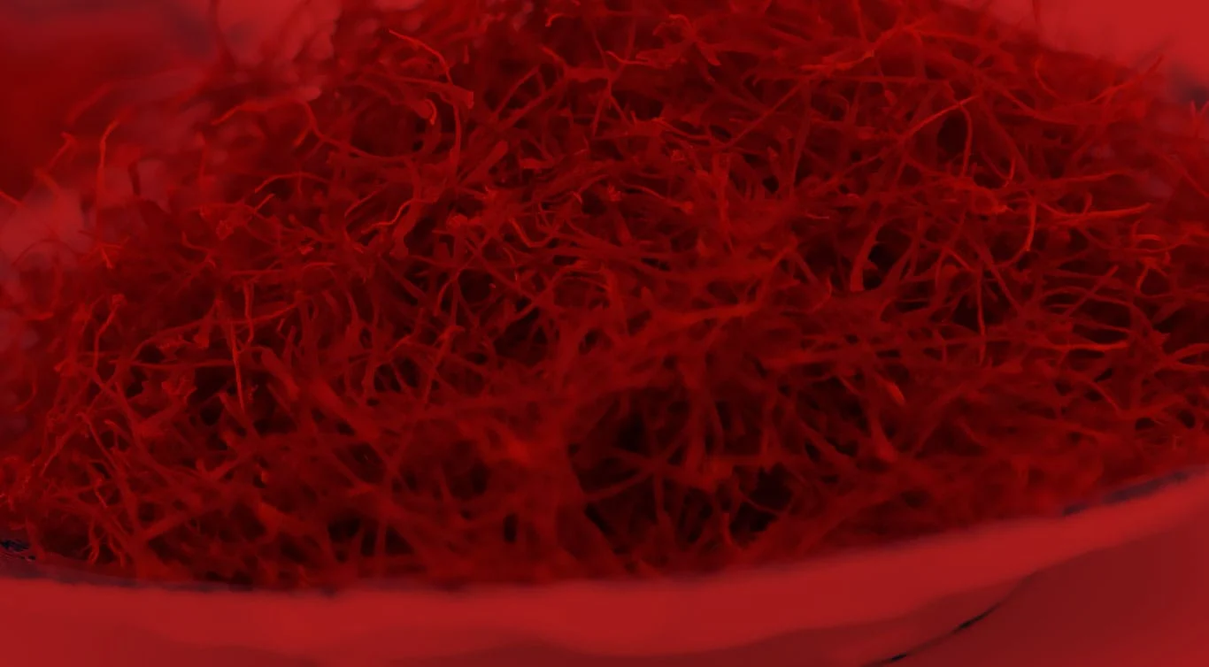 red saffron in Raleigh,saffron shop in Raleigh,,saffron,iran saffron in Miami,persian saffron in Miami,iranian saffron in Miami,price of saffron in Miami,saffron in Miami,saffron companies in Miami,saffron price in Miami,