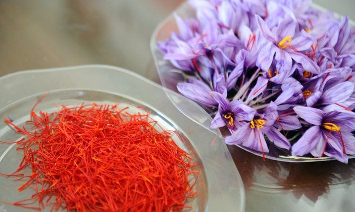 saffron iran in Miami,saffron shop in Miami,buy saffron in Miami,buy persian saffron in Miami,purchase saffron in Miami,major purchase in Miami,red saffron in Miami,saffron shop in Miami, ,saffron,iran saffron in Virginia Beach,