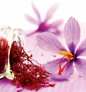 persian saffron in Virginia Beach,iranian saffron in Virginia Beach,price of saffron in Virginia Beach,saffron in Virginia Beach,saffron companies in Virginia Beach,saffron price in Virginia Beach,saffron iran in Virginia Beach,saffron shop in Virginia Beach,buy saffron in Virginia Beach,buy persian saffron in Virginia Beach,