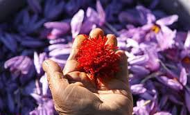 price of saffron in Minneapolis,saffron in Minneapolis,saffron companies in Minneapolis,saffron price in Minneapolis,saffron iran in Minneapolis,saffron shop in Minneapolis,buy saffron in Minneapolis,buy persian saffron in Minneapolis,purchase saffron in Minneapolis,major purchase in Minneapolis,