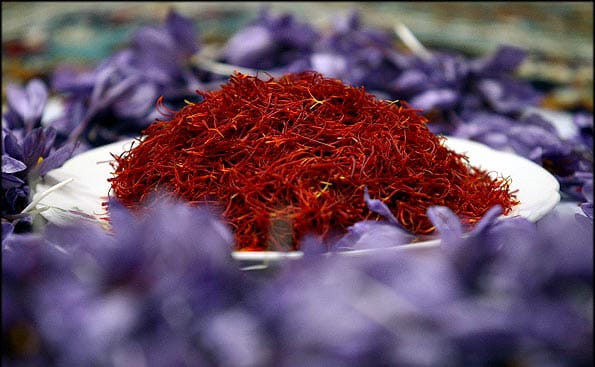 saffron iran in Tulsa,saffron shop in Tulsa,buy saffron in Tulsa,buy persian saffron in Tulsa,purchase saffron in Tulsa,major purchase in Tulsa,red saffron in Tulsa,saffron shop in Tulsa, ,saffron,iran saffron in Arlington,