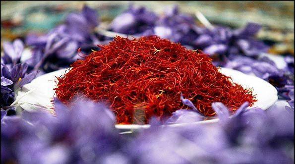 saffron companies in New Orleans,saffron price in New Orleans,saffron iran in New Orleans,saffron shop in New Orleans,buy saffron in New Orleans,buy persian saffron in New Orleans,purchase saffron in New Orleans,major purchase in New Orleans,red saffron in New Orleans,saffron shop in New Orleans,
