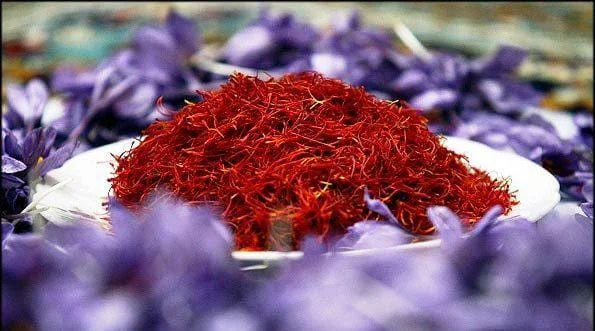 saffron companies in New Orleans,saffron price in New Orleans,saffron iran in New Orleans,saffron shop in New Orleans,buy saffron in New Orleans,buy persian saffron in New Orleans,purchase saffron in New Orleans,major purchase in New Orleans,red saffron in New Orleans,saffron shop in New Orleans,