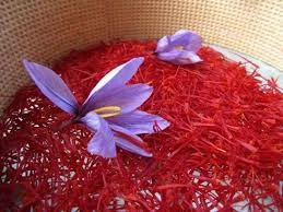 price of saffron in Aurora,saffron in Aurora,saffron companies in Aurora,saffron price in Aurora,saffron iran in Aurora,saffron shop in Aurora,buy saffron in Aurora,buy persian saffron in Aurora,purchase saffron in Aurora,major purchase in Aurora,