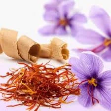 red saffron in Santa Ana,saffron shop in Santa Ana, ,saffron,iran saffron in Corpus Christi,persian saffron in Corpus Christi,iranian saffron in Corpus Christi,price of saffron in Corpus Christi,saffron in Corpus Christi,saffron companies in Corpus Christi,saffron price in Corpus Christi,