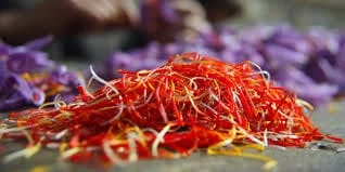 persian saffron in Chula Vista,iranian saffron in Chula Vista,price of saffron in Chula Vista,saffron in Chula Vista,saffron companies in Chula Vista,saffron price in Chula Vista,saffron iran in Chula Vista,saffron shop in Chula Vista,buy saffron in Chula Vista,buy persian saffron in Chula Vista,