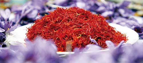 buy persian saffron in Fort Wayne,purchase saffron in Fort Wayne,major purchase in Fort Wayne,red saffron in Fort Wayne,saffron shop in Fort Wayne, ,saffron,iran saffron in Jersey City,persian saffron in Jersey City,iranian saffron in Jersey City,price of saffron in Jersey City,