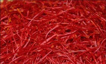 saffron shop in Jersey City,,saffron,iran saffron in Durham,persian saffron in Durham,iranian saffron in Durham,price of saffron in Durham,saffron in Durham,saffron companies in Durham,saffron price in Durham,saffron iran in Durham,saffron shop in Durham,