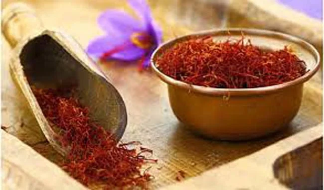 red saffron in St. Petersburg,saffron shop in St. Petersburg, ,saffron,iran saffron in Laredo,persian saffron in Laredo,iranian saffron in Laredo,price of saffron in Laredo,saffron in Laredo,saffron companies in Laredo,saffron price in Laredo,