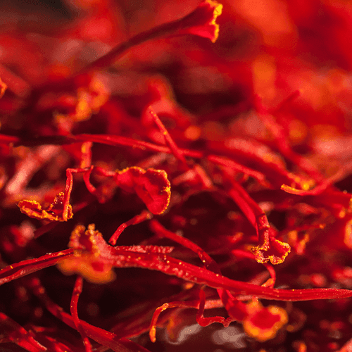 buy saffron in Glendale,buy persian saffron in Glendale,purchase saffron in Glendale,major purchase in Glendale,red saffron in Glendale,saffron shop in Glendale, ,saffron,iran saffron in Reno,persian saffron in Reno,iranian saffron in Reno,