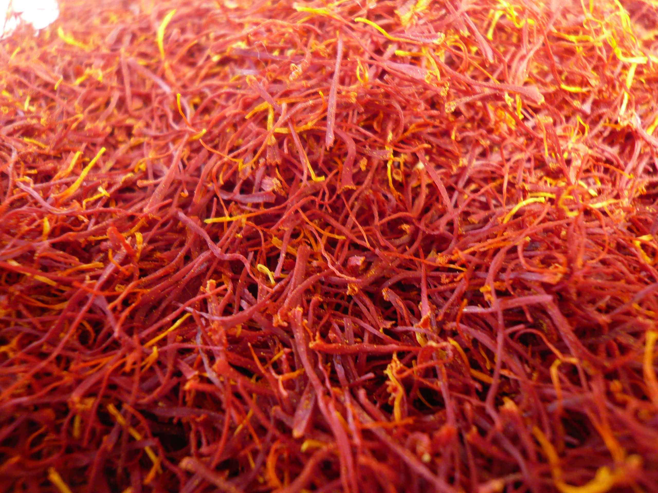 price of saffron in Reno,saffron in Reno,saffron companies in Reno,saffron price in Reno,saffron iran in Reno,saffron shop in Reno,buy saffron in Reno,buy persian saffron in Reno,purchase saffron in Reno,major purchase in Reno,