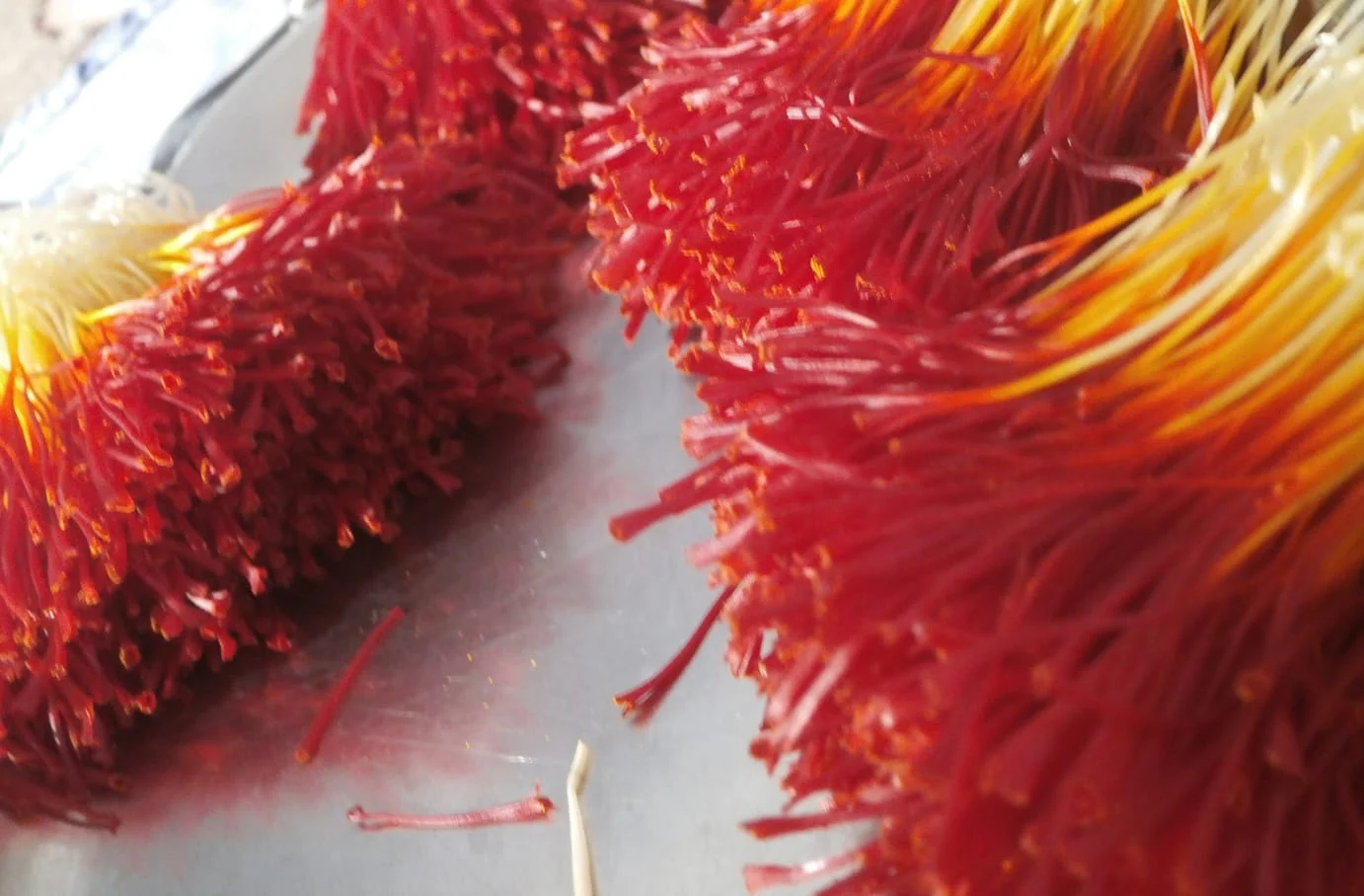 red saffron in Reno,saffron shop in Reno,,saffron,iran saffron in Norfolk,persian saffron in Norfolk,iranian saffron in Norfolk,price of saffron in Norfolk,saffron in Norfolk,saffron companies in Norfolk,saffron price in Norfolk,