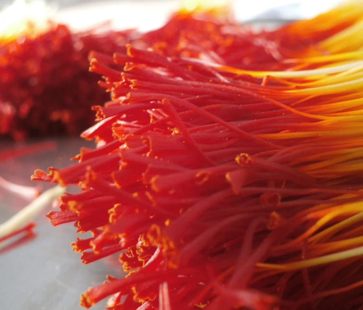 saffron iran in Norfolk,saffron shop in Norfolk,buy saffron in Norfolk,buy persian saffron in Norfolk,purchase saffron in Norfolk,major purchase in Norfolk,red saffron in Norfolk,saffron shop in Norfolk, ,saffron,iran saffron in Winston–Salem,