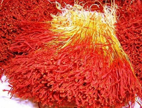 saffron companies in North Las Vegas,saffron price in North Las Vegas,saffron iran in North Las Vegas,saffron shop in North Las Vegas,buy saffron in North Las Vegas,buy persian saffron in North Las Vegas,purchase saffron in North Las Vegas,major purchase in North Las Vegas,red saffron in North Las Vegas,saffron shop in North Las Vegas,