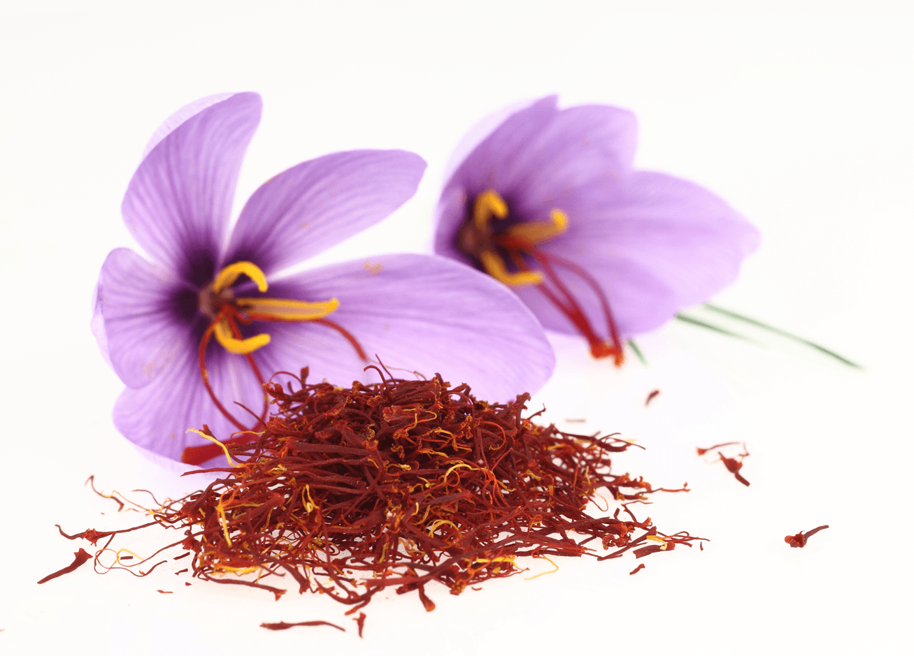 saffron companies in Richmond,saffron price in Richmond,saffron iran in Richmond,saffron shop in Richmond,buy saffron in Richmond,buy persian saffron in Richmond,purchase saffron in Richmond,major purchase in Richmond,red saffron in Richmond,saffron shop in Richmond,