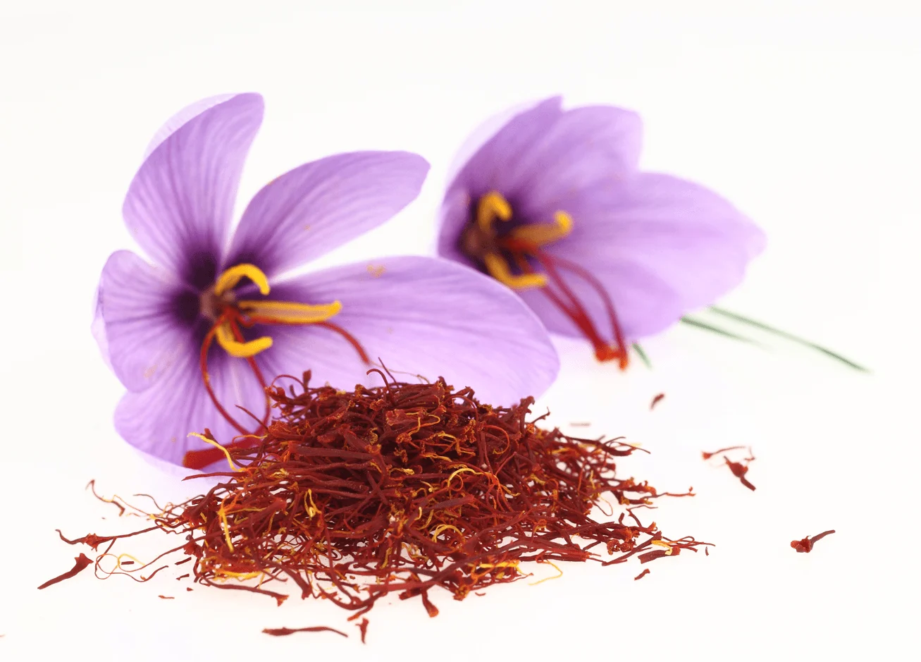 saffron companies in Richmond,saffron price in Richmond,saffron iran in Richmond,saffron shop in Richmond,buy saffron in Richmond,buy persian saffron in Richmond,purchase saffron in Richmond,major purchase in Richmond,red saffron in Richmond,saffron shop in Richmond,