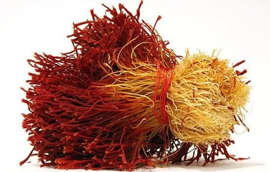 buy saffron in Boise,buy persian saffron in Boise,purchase saffron in Boise,major purchase in Boise,red saffron in Boise,saffron shop in Boise, ,saffron,iran saffron in San Bernardino,persian saffron in San Bernardino,iranian saffron in San Bernardino,