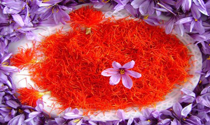 saffron price in Amarillo,saffron iran in Amarillo,saffron shop in Amarillo,buy saffron in Amarillo,buy persian saffron in Amarillo,purchase saffron in Amarillo,major purchase in Amarillo,red saffron in Amarillo,saffron shop in Amarillo, ,saffron,