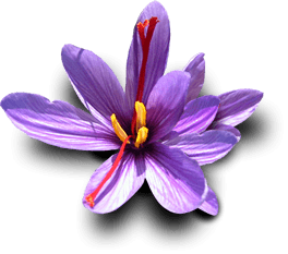 iran saffron in Little Rock,persian saffron in Little Rock,iranian saffron in Little Rock,price of saffron in Little Rock,saffron in Little Rock,saffron companies in Little Rock,saffron price in Little Rock,saffron iran in Little Rock,saffron shop in Little Rock,buy saffron in Little Rock,