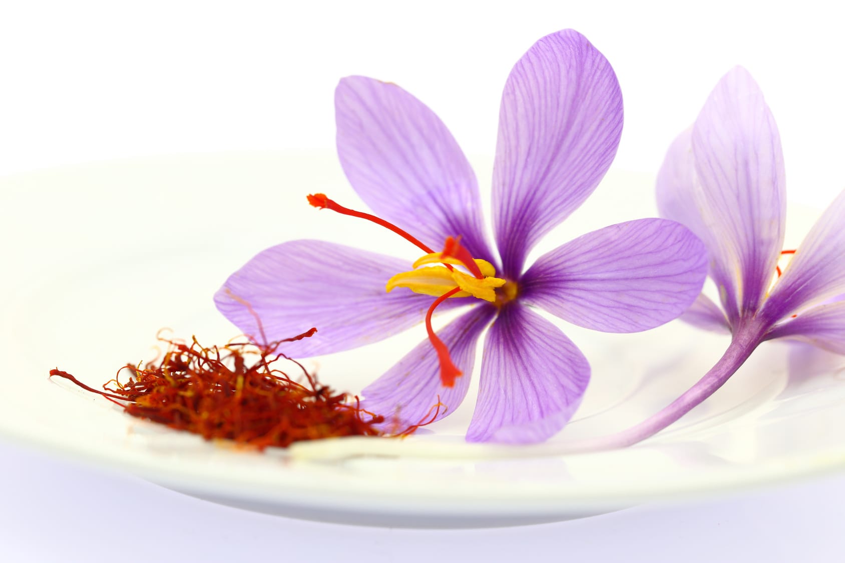 saffron shop in Akron,,saffron,iran saffron in Columbus,persian saffron in Columbus,iranian saffron in Columbus,price of saffron in Columbus,saffron in Columbus,saffron companies in Columbus,saffron price in Columbus,saffron iran in Columbus,