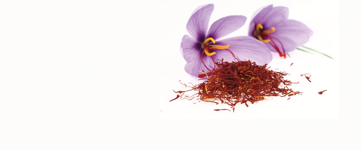 buy saffron in Huntsville,buy persian saffron in Huntsville,purchase saffron in Huntsville,major purchase in Huntsville,red saffron in Huntsville,saffron shop in Huntsville, ,saffron,iran saffron in Mobile,persian saffron in Mobile,iranian saffron in Mobile,