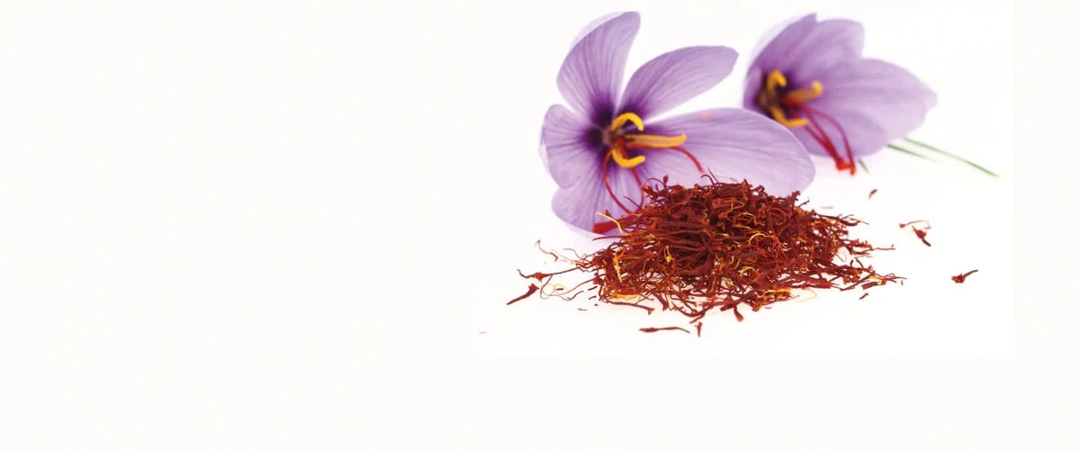 buy saffron in Huntsville,buy persian saffron in Huntsville,purchase saffron in Huntsville,major purchase in Huntsville,red saffron in Huntsville,saffron shop in Huntsville, ,saffron,iran saffron in Mobile,persian saffron in Mobile,iranian saffron in Mobile,