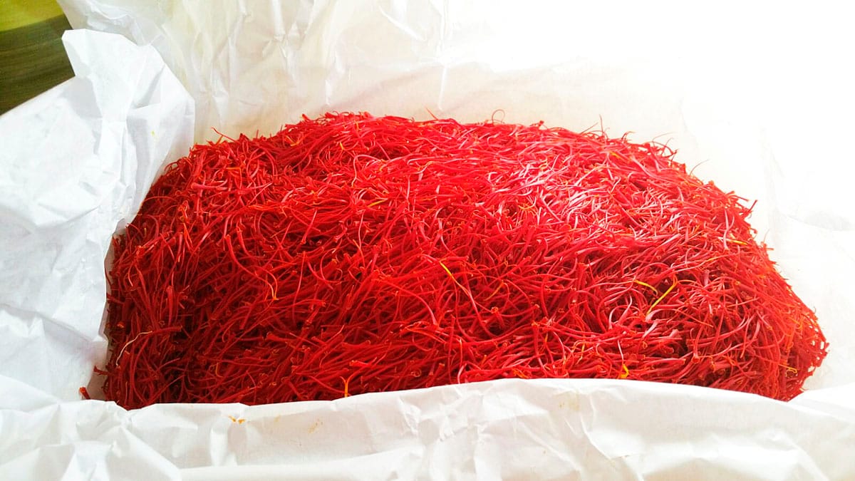 persian saffron in Grand Prairie,iranian saffron in Grand Prairie,price of saffron in Grand Prairie,saffron in Grand Prairie,saffron companies in Grand Prairie,saffron price in Grand Prairie,saffron iran in Grand Prairie,saffron shop in Grand Prairie,buy saffron in Grand Prairie,buy persian saffron in Grand Prairie,