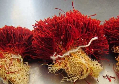 red saffron in Newport News,saffron shop in Newport News, ,saffron,iran saffron in Cape Coral,persian saffron in Cape Coral,iranian saffron in Cape Coral,price of saffron in Cape Coral,saffron in Cape Coral,saffron companies in Cape Coral,saffron price in Cape Coral,