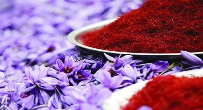 Exporting 11 tons of saffron to Afghanistan,saffron to Afghanistan,exports of saffron,Persian saffron,saffron,Export of Saffron to Afghanistan,Saffron production,Saffron National Council