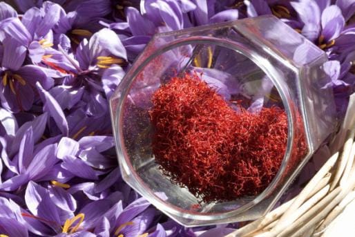 Saffron anticancer effects and protect the heart,Saffron is a medicinal plant,Natural products,saffron,Liver, kidney, bladder,Biologically,Anticancer, Neuroprotective, Anti Inflammatory and Heart Protection