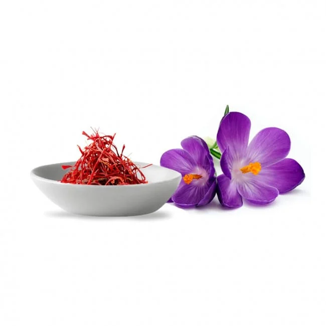 Emphasis on saffron networking with other devices,Agriculture,Industries, mines,Saffron National Council,Saffron sellers,Saffron Networking
