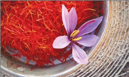 Saffron production reached 400 tons,Saffron production,Saffron in Iran,The growth of saffron production,iran saffron,business,,agricultural