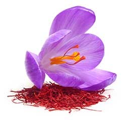 Activation of Saffron Fund,Saffron Box,Saffron Fund in the management of the production chain,Supply and export of saffron,