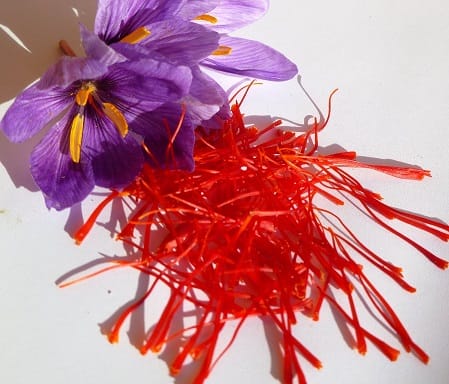 saffron global, Why is Iran ranked 17th in saffron global trade?, World Trade of Saffron,Saffron