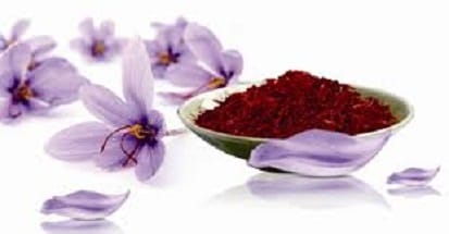 Export of saffron included foreign exchange,Export of saffron,National Council of Saffron of Iran,Iranian Saffron,market