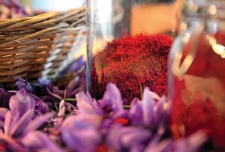 Spain became the first exporter of this product with Iranian saffron, Measures to boost the export of saffron,export of saffron,buying saffron from Iran,Persian saffron,Azafrán persa